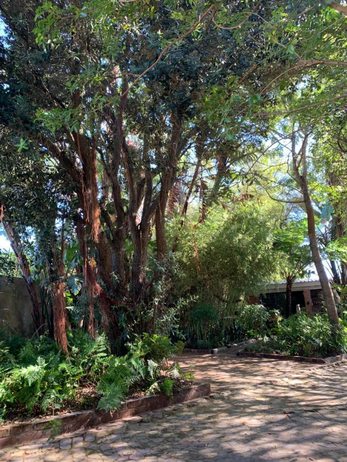 The Secret Garden Hideaway Lägenhet Mossel Bay Exteriör bild